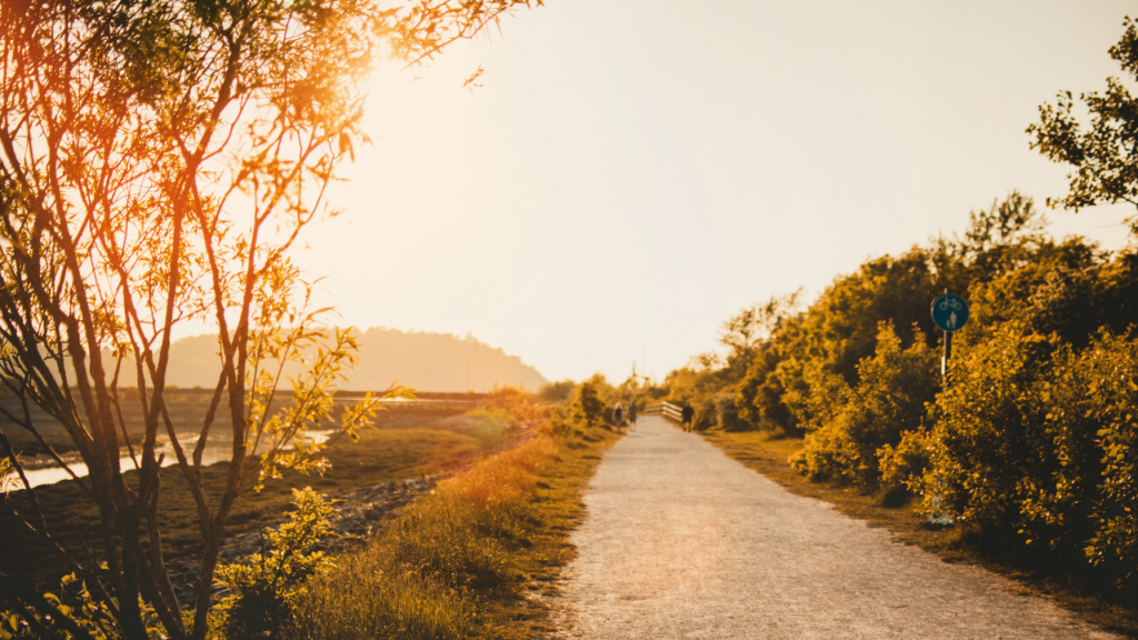 A winding path leads to a sunrise in the distance
